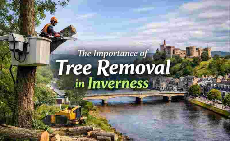 Tree Removal