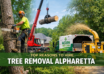 Tree Removal Alpharetta