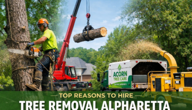 Tree Removal Alpharetta