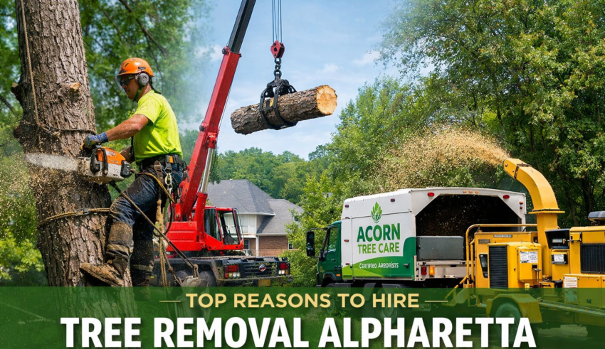 Tree Removal Alpharetta