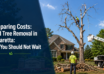 Tree removal services in Alpharetta