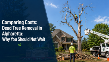 Tree removal services in Alpharetta