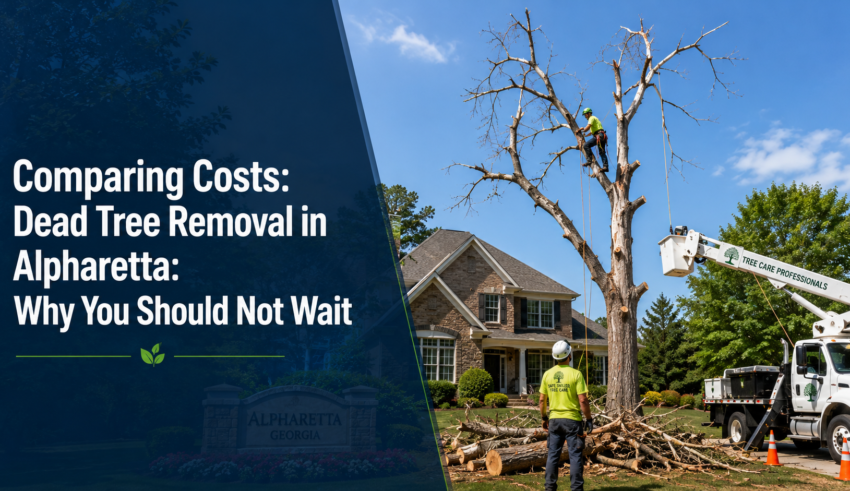 Tree removal services in Alpharetta