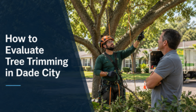 How to evaluate tree trimming in Dade City