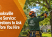 Brooksville tree service