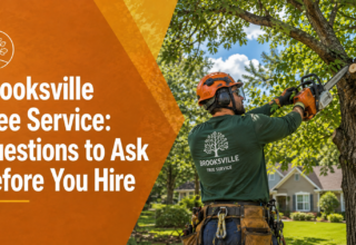 Brooksville tree service