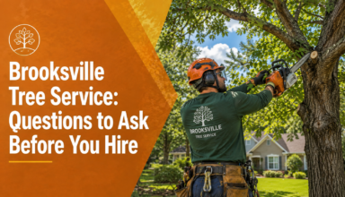 Brooksville tree service
