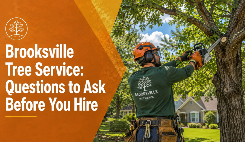 Brooksville tree service